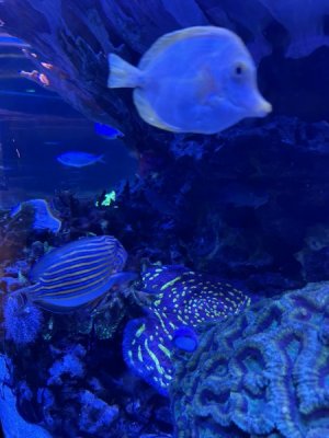IMG_4417.JPEG