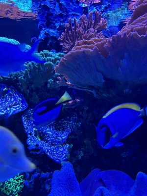 IMG_4418.JPEG
