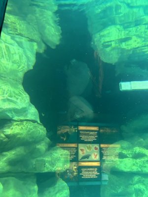 IMG_4423.JPEG