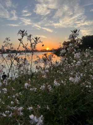 IMG_5063.jpeg