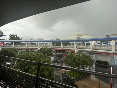 IMG_1283.jpeg