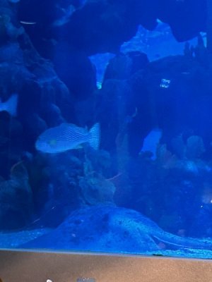 IMG_4431.JPEG