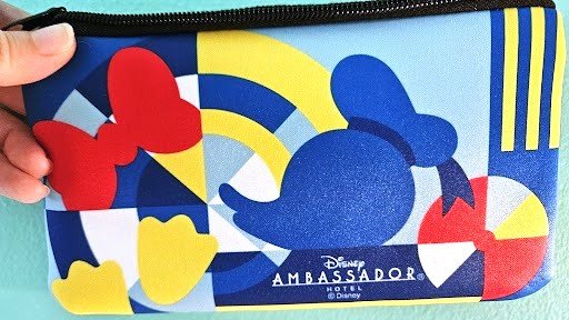 Ambassador Pouch.jpg
