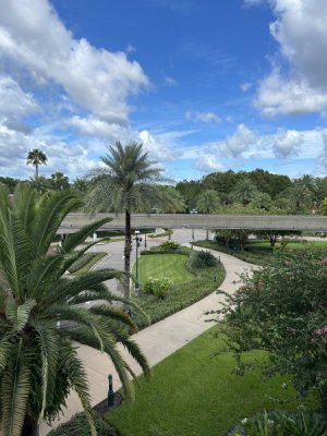 IMG_2974.jpeg