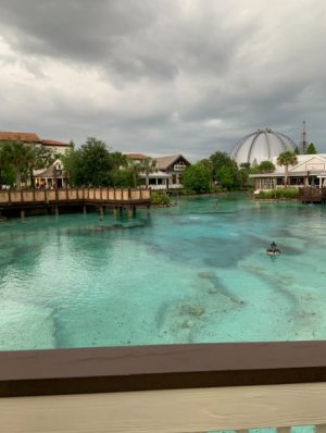 IMG_0181.jpeg