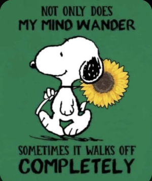1723059775025.png
