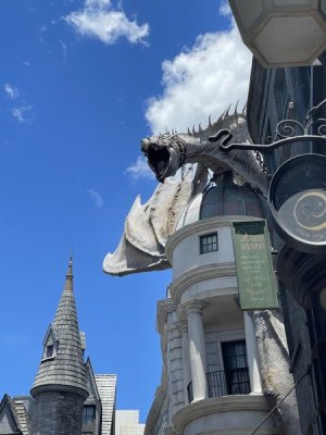IMG_0490.jpeg