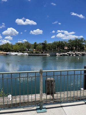 IMG_0505.jpeg