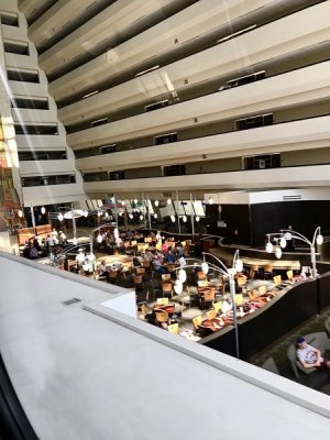 IMG_0167.jpeg