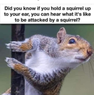 1723208405898.png