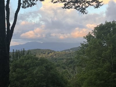IMG_2807.jpeg