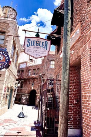 IMG_0512.jpeg