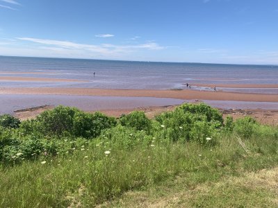 IMG_5983.jpeg