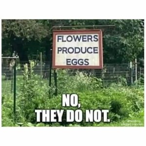 strange-stupid-silly-signs-66b35c9d30aa8__700.jpg