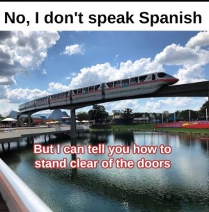 IMG_1596.jpeg