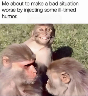 1723509338540.png
