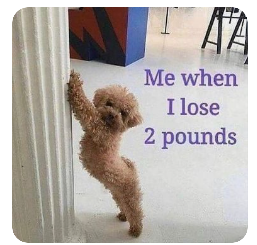 1723520001858.png
