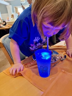 IMG_0138.jpeg