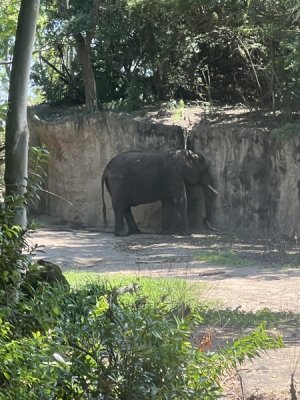 IMG_3630.jpeg
