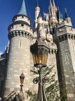 IMG_0944.jpeg