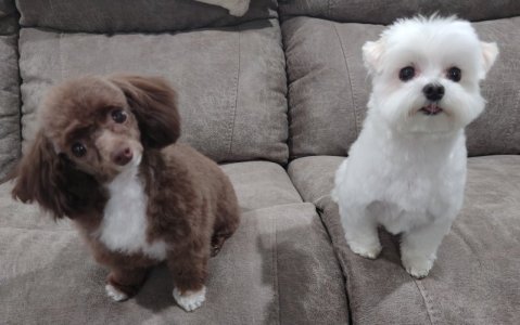 Kylo and Lexi 2023a.jpg