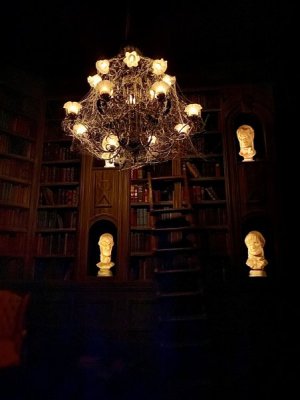 IMG_9354.jpeg