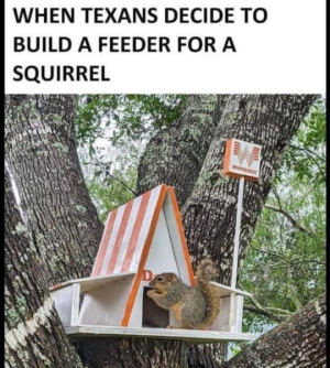 1723776043744.png