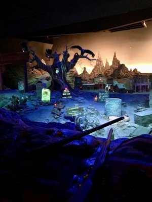 IMG_1384.jpeg