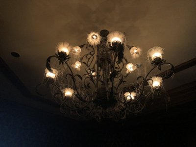 A01EA6FE-C5F8-40B1-B2EC-71E085762EC9.jpeg