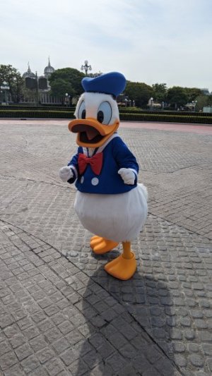 PXL_20230607_231835745.jpeg