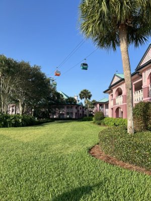 IMG_4449.JPEG