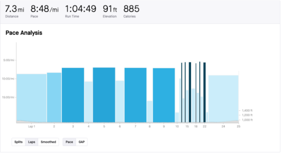 Screenshot 2024-08-19 at 10.33.23 AM.png