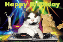 IMG_4143.gif
