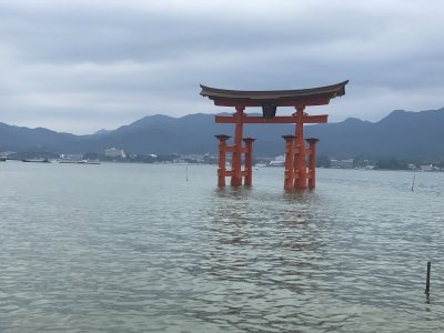 IMG_1703.jpeg
