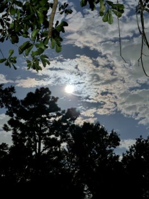 IMG_5163.jpeg