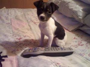 baby bailey.jpg