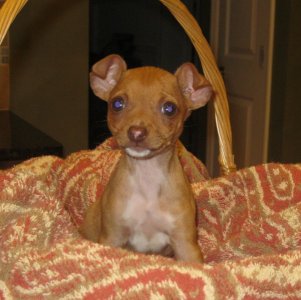 reiley baby.jpg