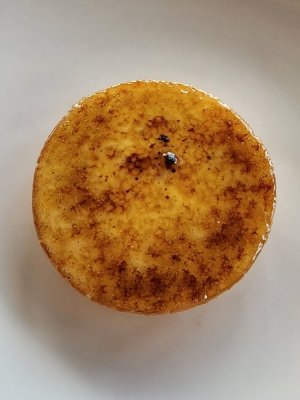 20240624_151257.jpg