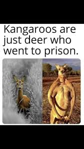 1724192102531.png