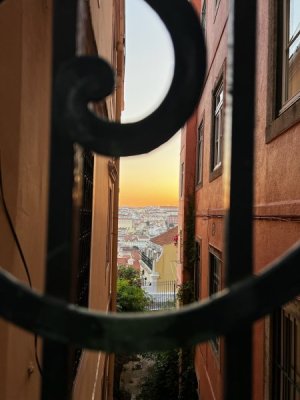 IMG_9856.jpeg
