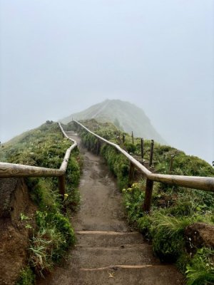 IMG_3955.jpeg