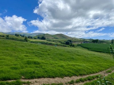 IMG_6205.jpeg