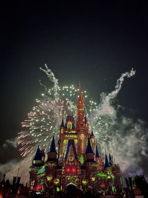 IMG_3441.jpeg