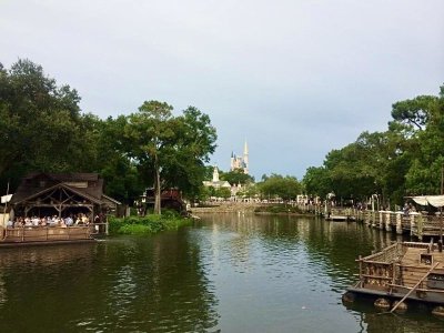 IMG_1246.jpeg