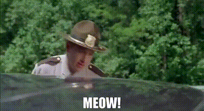 1724343596671.gif