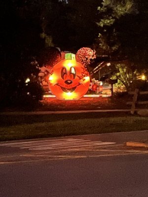 IMG_2257.jpeg