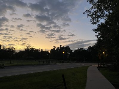 IMG_2262.jpeg