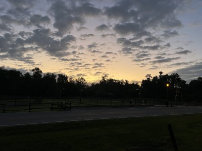 IMG_2261.jpeg
