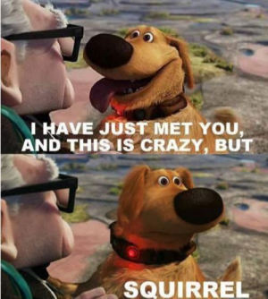 1724377836431.png