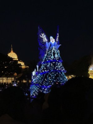 IMG_6138.jpeg